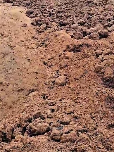 Amazing Manufacturing process of making in factory #fyp #manufacturing #making #factory #process