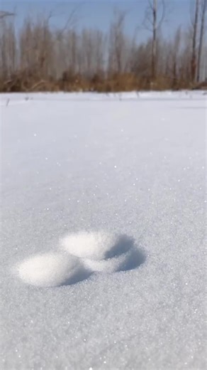 If you like this book search '513792' on GoodNovel to read the whole book. #BookTok #read #storytime