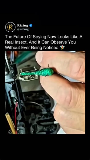 Rizing on Instagram: "The future of surveillance is here, and it's tiny! 🕵️‍♂️ Advanced micro-drones designed to look and fly like real insects are being developed for stealth reconnaissance and special missions, making them nearly impossible to detect. Science fiction is becoming reality. ( Love technology? then Follow Us @rizing.x ) #rizing #spydrone #microdrone #dronetechnology #futuretech #surveillance #espionage #technology #robotics #ai #militarytech #innovation #techtrends #creepytech #s