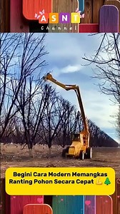 Begini Cara Modern Memangkas Ranting Pohon Secara Cepat 💪🌲