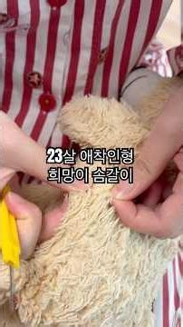오월드 출신 23년 애착인형 솜갈이🧸 #희망 #인형 #뉴호프