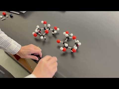 253 Macromolecules lab Dehydration and hydrolysis