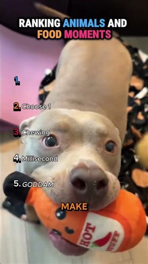 Ranking Animals And Food Moments😂🐾 #dog #food