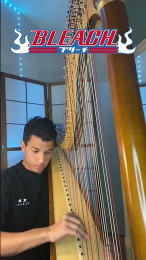 Bleach - Nothing can be explained - Harp Cover
