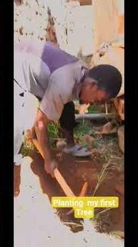 Planting my First Tree #tree #greenworldgroup #plantingtrees plantingt
