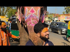 Tabiyat Bohot Achi Hain || Mr.Loveboy