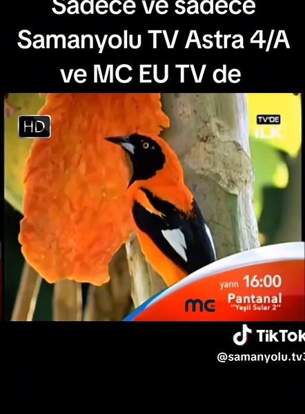 Samanyolu TV Canlı İzle ve Güncel Bilgiler