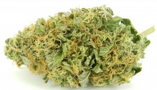 Sour LSD | Marijuana Strain Reviews