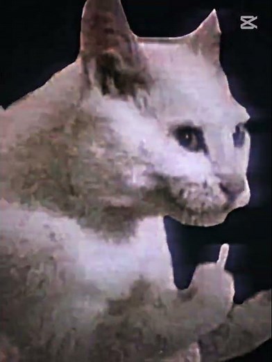 subscribe me for more edits🎀🤭