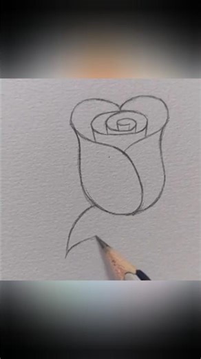 How To Draw Rose Flower | Rose Drawing Tutorial