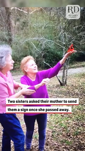 These two sisters asked their mother to send them a sign once she passed away, specifically if a cardinal could be involved. You will not believe what happened! #cardinal #family #birds #grief #love | Reader's Digest