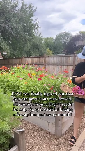 I’m a flower girl and always have been. 🌸 I can remember being a little girl hanging out with my mom and grandma in the garden or at the flower mart! There is just something glorious about them! 🌼 And I adore them and always will. But let me tell you, there is nothing more special than growing them on your own from seeds, watching them bloom, harvesting them and then saving their seeds for the next year! LITERALLY PURE JOY!💓Three years ago I gave it a try (a lazy try honestly😆) and it still 