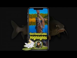 🐟 How to Catch Channel Catfish: Rigs, Bait & Spots 🔥