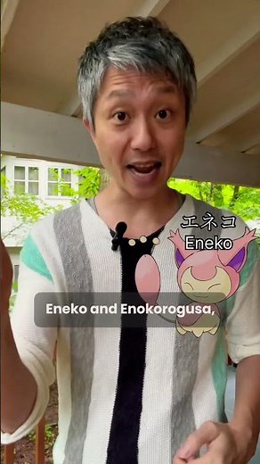 Pokemon backstory: Skitty