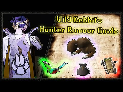 OSRS Hunter Rumors - Wild Kebbits Quick Guide (4 min)