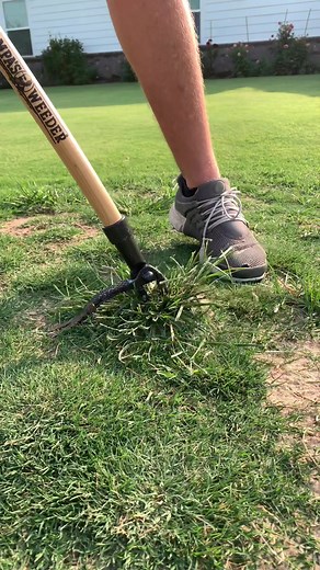 thelawntools on TikTok