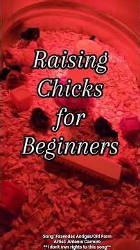 Easy Peasy Guide to Raising Chicks 🐣