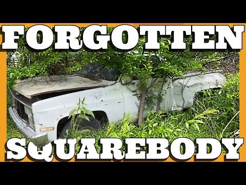 Abandoned Squarebody Stepside. Can It Be Revived After 24 years?
