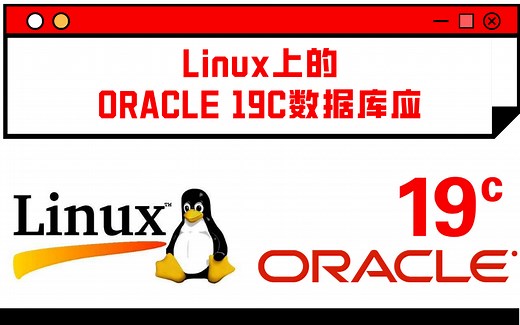 Linux上的ORACLE 19C 数据库应用实践