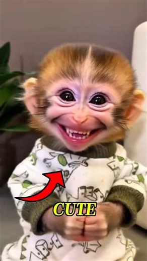 Top 5 Cutest Animals That Could Actually KILL You! 😱🐾