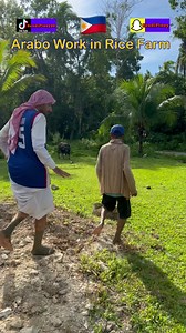 1.9M views · 140K reactions | Arabo Try Rice Farm Work In Philippines  ✈️ #Bohol #SaudiPinoy #OFW #ItsMoreFunInThePhilippines | TheSaudipinoy | Facebook