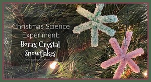 Christmas Science Experiment: Borax Crystal Ornaments