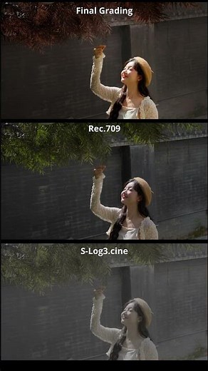 winter gril compare color