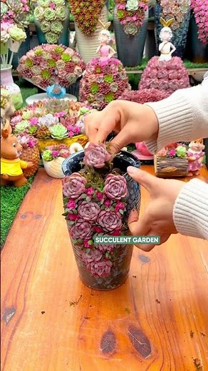How to Make a Stunning Succulent Arrangement (Step-by-Step) 🪴✨