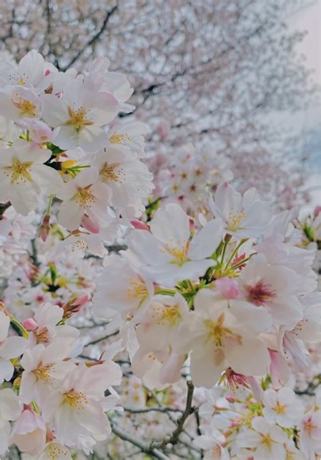 #April