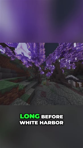 An amethyst meteor changed everything! Building an enchanted forest with amethyst galore in my Minecraft kingdom. #Minecraft #Amethyst #EnchantedForest #Gaming #Kingdom