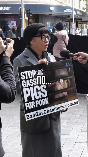 37K views · 45 reactions | Vegan protestors attack me for loving bacon. I think it’s only 50% better #veganlife #veganism #perthisok #streetinterview | Mr Sikkant | Facebook
