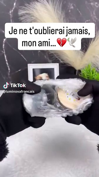 Créez des hologrammes facilement avec notre application