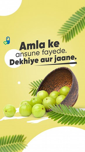Elevate your health with Amla! From strengthening your immune system to promoting radiant skin, this superfood does wonders for your well-being. Learn more about the incredible benefits of Amla and embark on a journey to a healthier you! #AmlaWellness #HealthyLiving #HolistichealthNovember #Truemeds #india | Truemeds