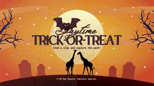 Come take your costumes out for a test drive TODAY til 5pm! This Sunday, we are hosting daytime trick-or-treat 🍬Grab your slip from admissions and explore the park for your sweet treats. Regular admissions apply and season passes are valid for this event! 🦁 | The Wild Animal Park