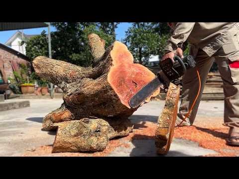 Watch Now What This Caftsman Did with a Difficult Bent Tree Stump to Create Something Amazing!