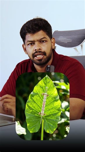 plants wilting? try this AC method immediately #tamil #shorts #agriculture #dronekaaran #facts