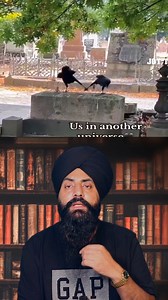 190K views · 5.2K reactions | he Brainy Birds: Meet the World's Smartest Avian Species #SmartBirds #BirdIntelligence #Animal | Jot TV | Facebook