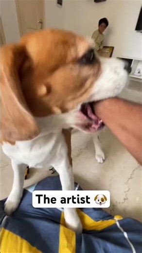 The art vs the artist 😂 Beagle love bites #shorts