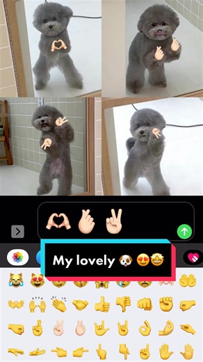 Heartwarming Moments: My Dog's Love Story 🐶❤️