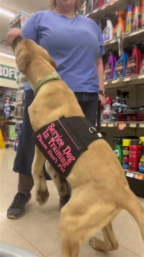 Hercules first training session out in public