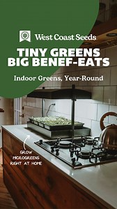17K views | Grow fresh greens in your kitchen, no garden or sunlight needed! • Harvest sprouts & microgreens in just a few days No experience required - our indoor growing supplies make it easy! Ready to grow? | West Coast Seeds | Facebook