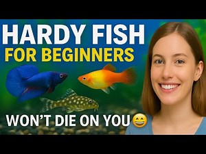 Top 3 Beginner Fish That Are Nearly Impossible to Kill
