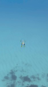 Wait for it... 🎥finsandphotography (IG) captures an unbelievably tiny baby squid Have you ever seen one this small?👇 #squid #tinyanimals #underwatervideo #underwaterphotography #underwater #marinebiology #oceanlife #take3forthesea | Take 3