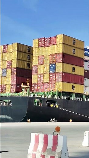 MSC Container Vessel Loading & Unloading | World's Biggest Container Ship 🚢 #shorts