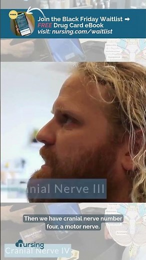 Cranial Nerves I–V Breakdown