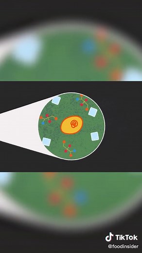 Food Insider on TikTok