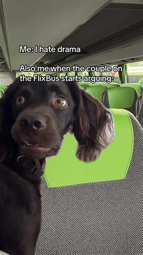 Hilarious FlixBus Drama Memes That Everyone Relates To