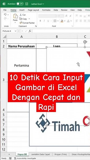 10 Detik Cara Input Gambar di Excel Dengan Cepat dan Rapi