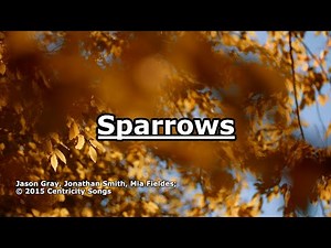 Sparrows - Jason Gray - Lyrics