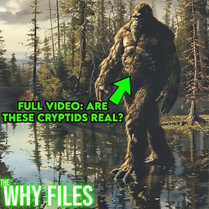 Full Video: Mysteries Of Bigfoot, Loch Ness Monster, and El Chupacabra! | The Why Files